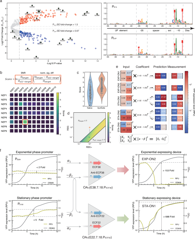 Fig. 5: Functional circuit amplifier implementation.