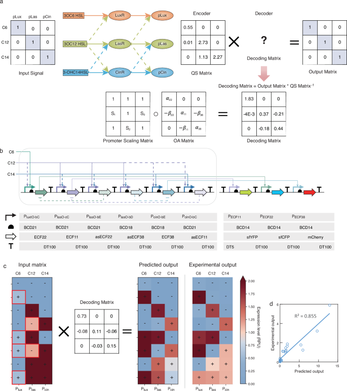 Fig. 7: Eliminating crosstalk with a three-dimensional OST.