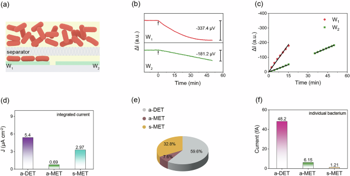 Fig. 6: Measuring the partial currents from adherent and suspended Shewanella putrefaciens CN32.