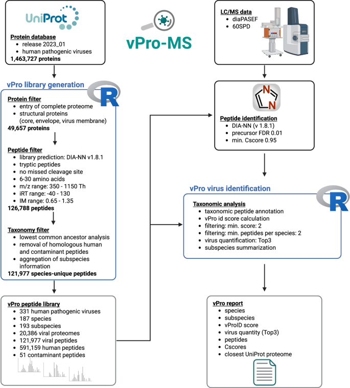 Fig. 2: Data flow chart of vPro-MS for virus identification by proteomics.