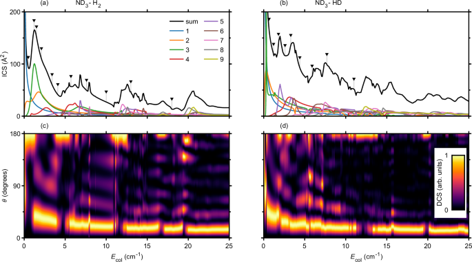 Fig. 2: Calculated cross sections based on the CCSD(T)+ET(Q) PES as a function of the collision energy.