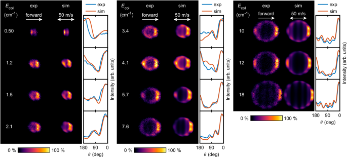 Fig. 3: Experimental (exp) and simulated (sim) velocity mapped images for ND3(
                      
                        
                      
                      $${1}_{1}^{-}\to {1}_{1}^{+}$$
                      
                        
                          
                            1
                          
                          
                            1
                          
                          
                            −
                          
                        
                        →
                        
                          
                            1
                          
                          
                            1
                          
                          
                            +
                          
                        
                      
                    )-H2 scattering at several collision energies.