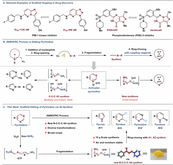 Fig. 1: Skeletal editing of pyrimidine.