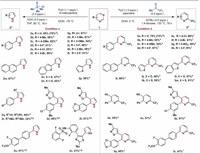 Fig. 3: Scope of conversion of pyrimidines into pyrroles and trifluoromethylpyridines.