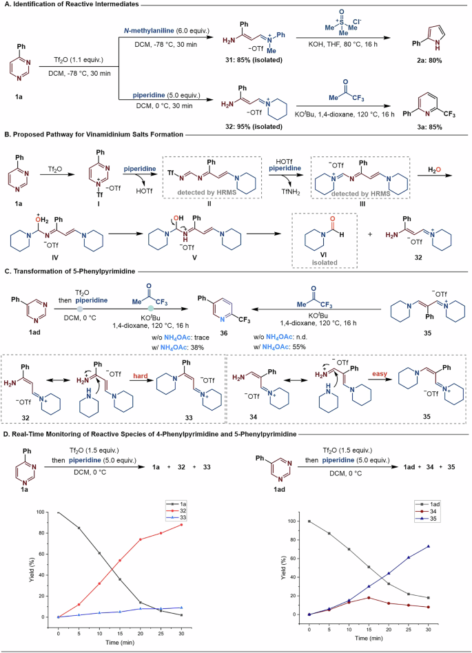 Fig. 5: Mechanistic studies.