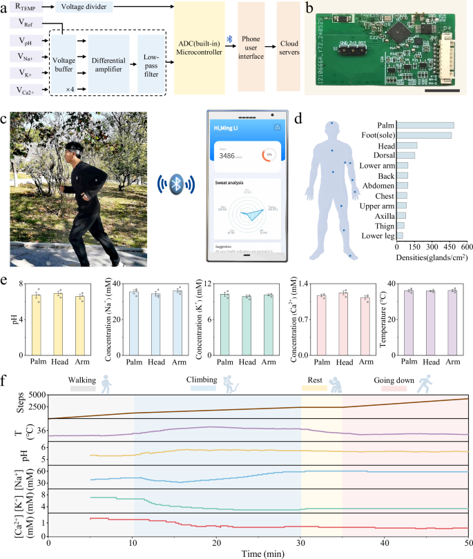 Fig. 5: On-body sweat analysis of the multi-biosensing hairband system.