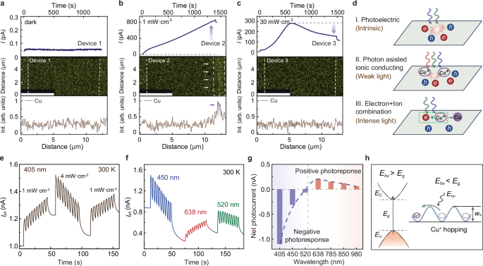 Fig. 2: Tunable photoresponse in CIPS photodetector.