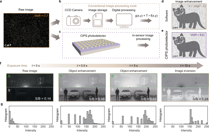 Fig. 4: In-sensor image transformations using the CIPS photodetector.