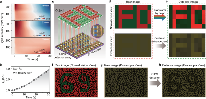 Fig. 5: CIPS photodetector assists for color blindness.