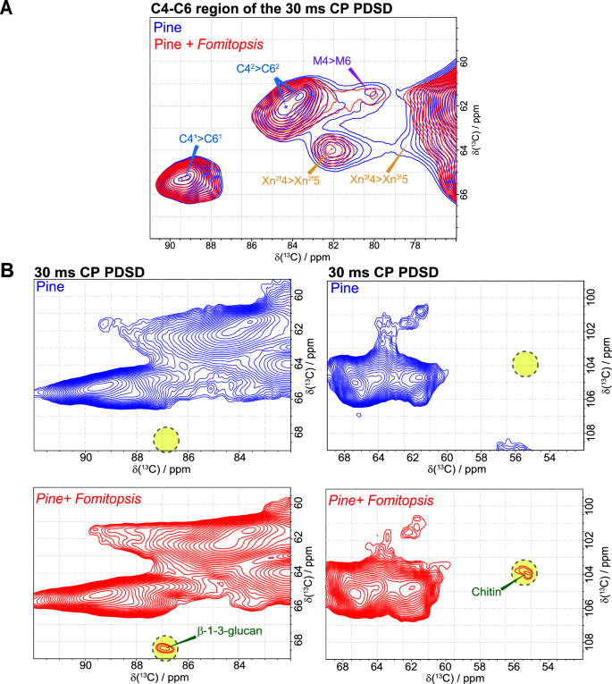 Fig. 3: Solid-state NMR of 13C-enriched pine decayed by Fomitopsis pinicola under anoxia.