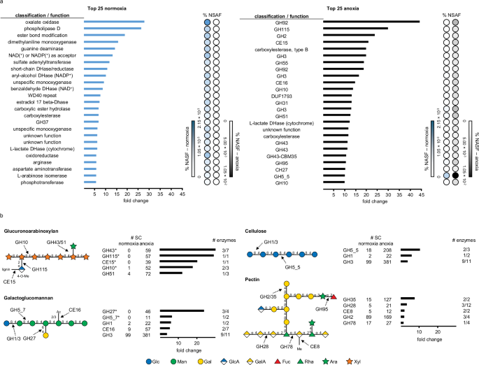 Fig. 4: Proteomic profile of Fomitopsis pinicola in normoxia and anoxia.