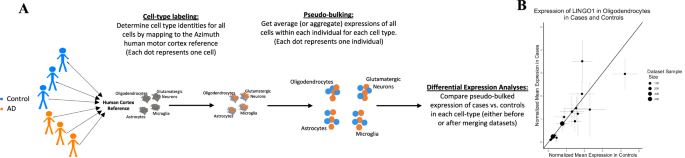 Fig. 1: Schematic of the procedure for obtaining differentially expressed genes.