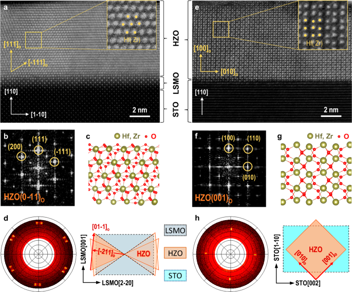 Fig. 2: Atomic structures, domain configurations, and epitaxial relationships of HZO-based heterostructures.