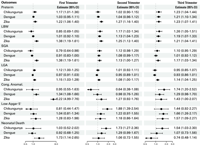 Fig. 4: Trimester effect estimates.