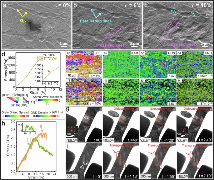 Fig. 3: In-situ tensile tests of the 0.36 O alloy at Room temperature.