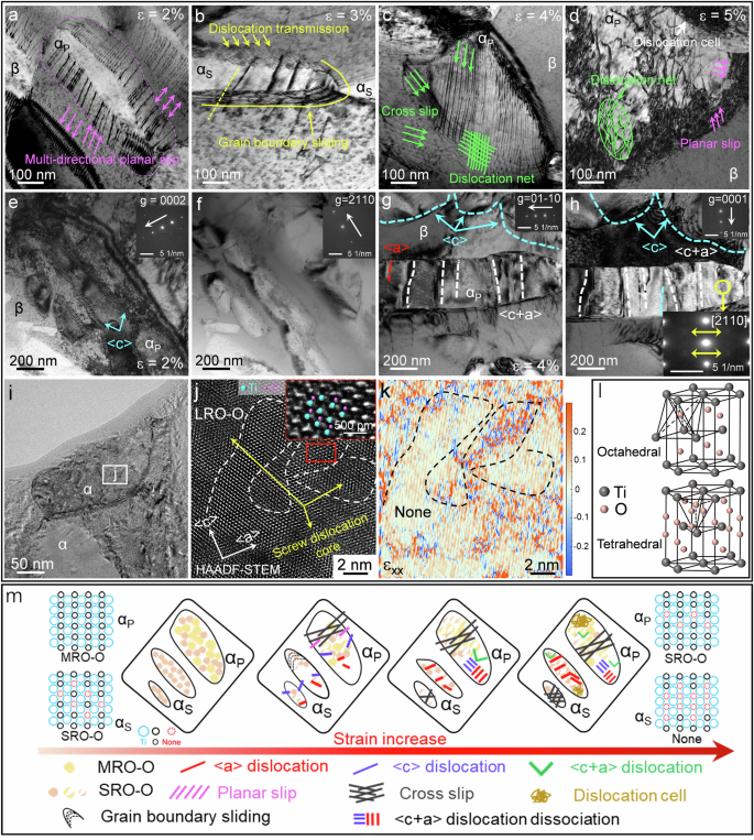 Fig. 4: Dislocation and interstitial O characteristics after tensile deformation of the 0.36 O alloy.