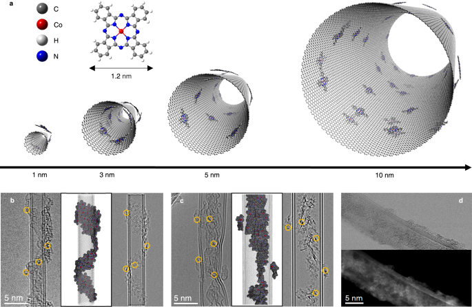 Fig. 2: Encapsulation of CoPc within CNTs.