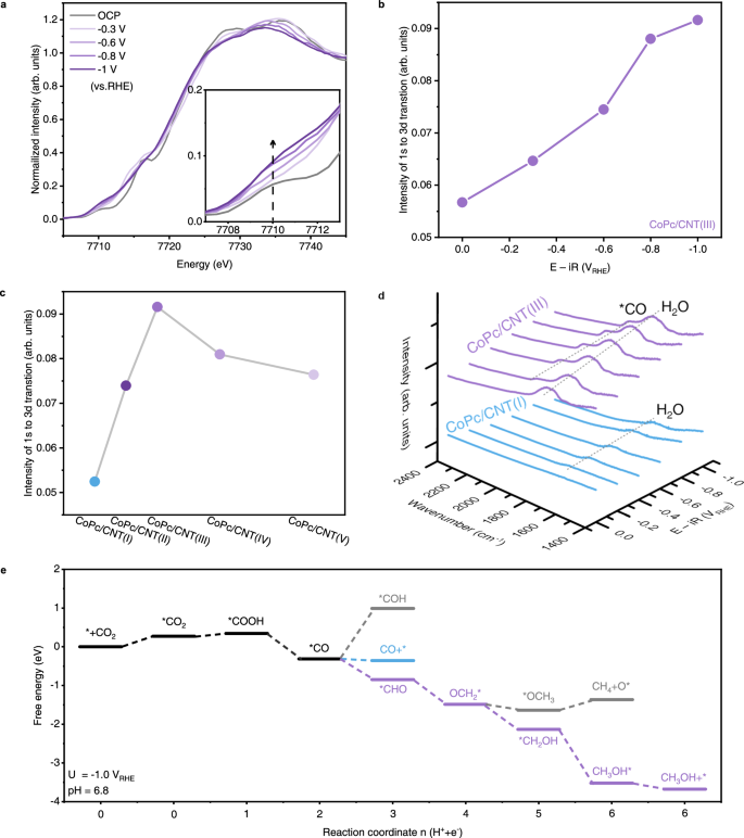 Fig. 5: Mechanistic insights into CH3OH production.