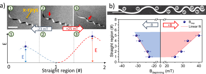Fig. 5: Non-reciprocal motion of BPDWs arising from symmetric potential barriers and asymmetric potential wells in a curved nanostructure.