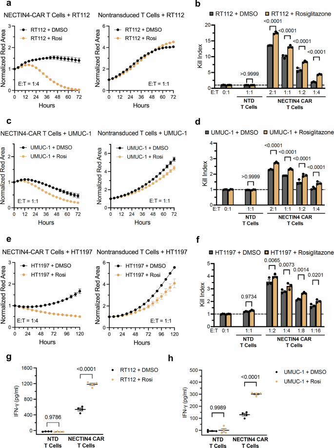 Fig. 3: Rosiglitazone pretreatment enhances sensitivity to NECTIN4-CAR T cells in multiple UC cell lines.