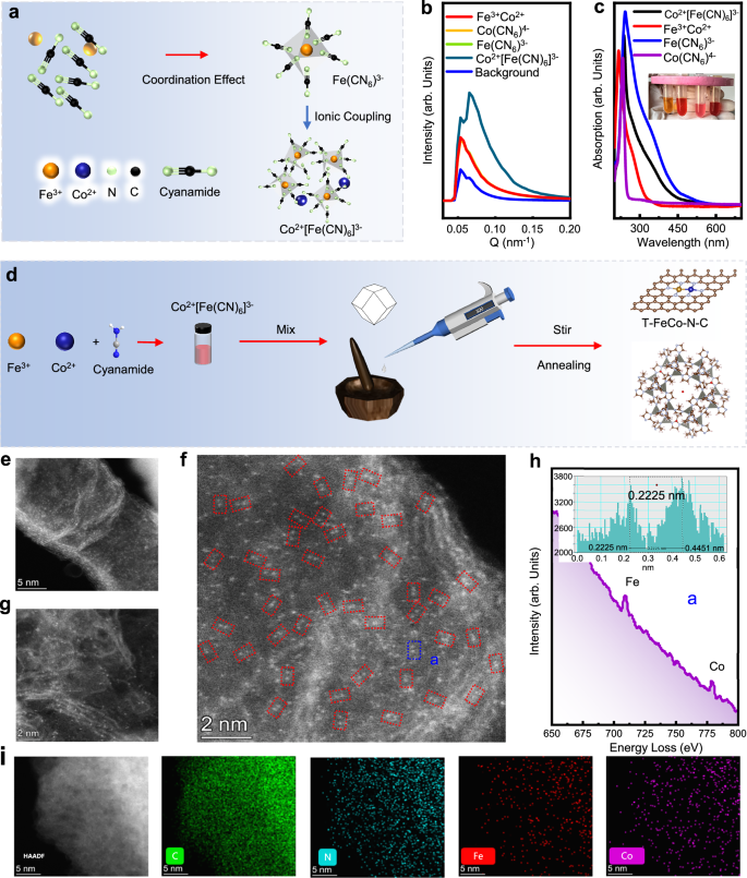 Fig. 1: Material synthesis and structure characterization of the T-FeCo-N-C.
