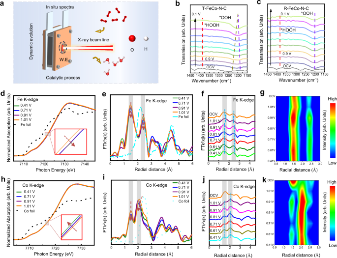 Fig. 4: Catalytic process study through in-situ spectrum.