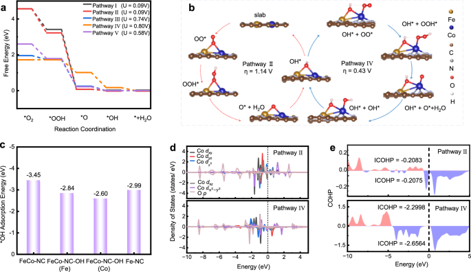 Fig. 5: Catalytic mechanism insights through theoretical calculation.