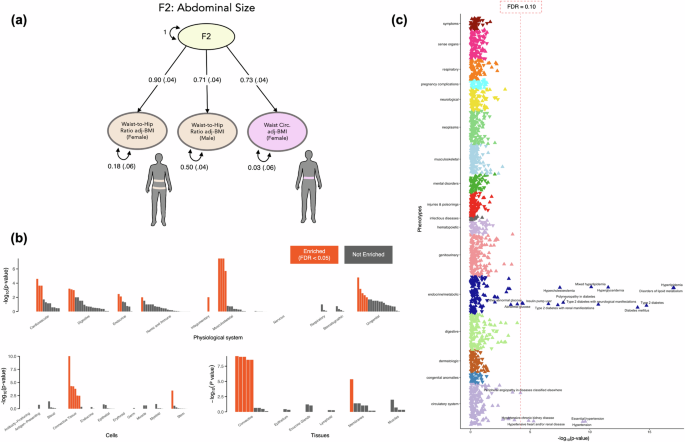 Fig. 3: Characterizing F2 – the genetics of abdominal size.