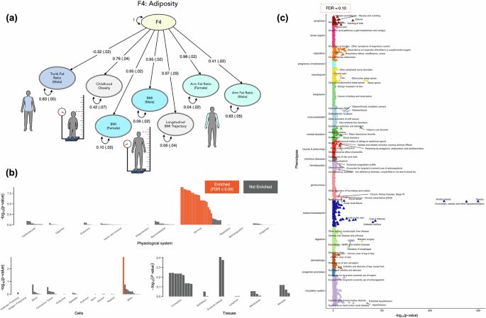 Fig. 5: Characterizing F4 – the genetics of adiposity.