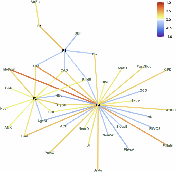 Fig. 6: Network of genetic correlations with the 4 factors.