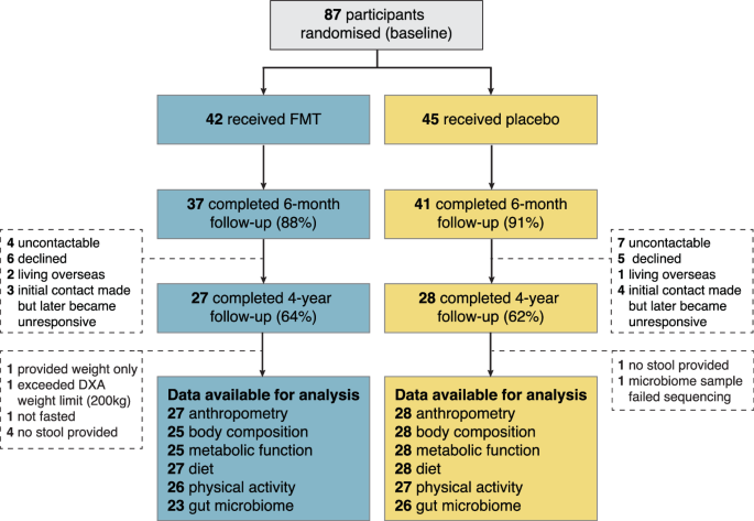 Fig. 1: Study flow from treatment randomisation to the 6-month follow-up (end of the original trial period), through to the 4-year follow-up assessment.