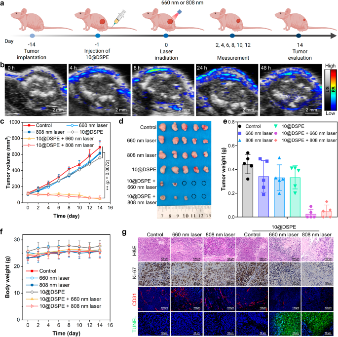 Fig. 10: In vivo phototheranostic efficacy of 10@DSPE.