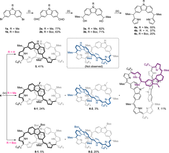 Fig. 1: Synthesis of 3,6-carbazole-based porphyrinoids 5–8.