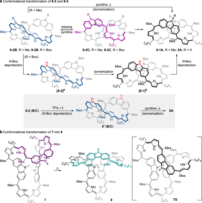 Fig. 5: Conformational rearrangements observed for 6-2, 7, 8-2, and 9.
