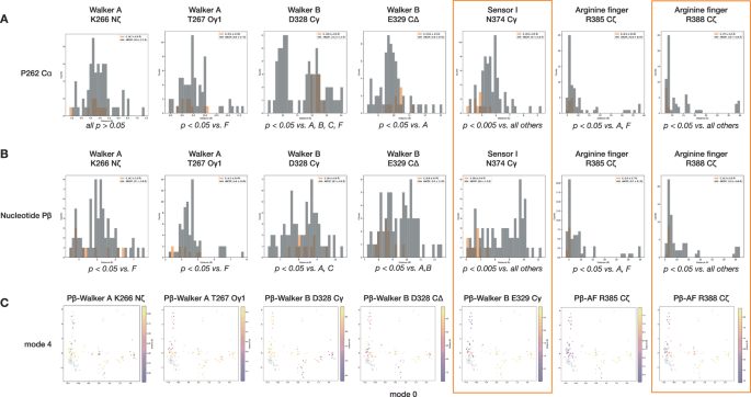 Fig. 9: The pre-hydrolysis state of protomers E has several unique active site features.