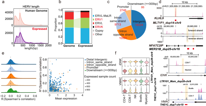 Fig. 2: Comprehensive characterization of HERVs.