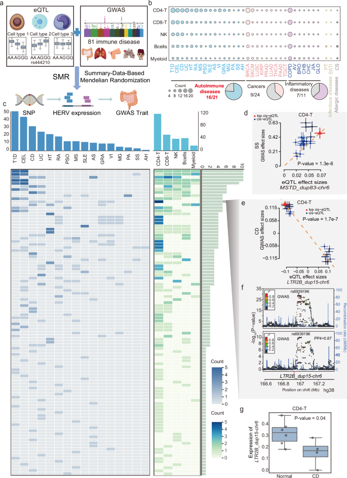 Fig. 5: Pleiotropic associations of HERVs in immune-related diseases.