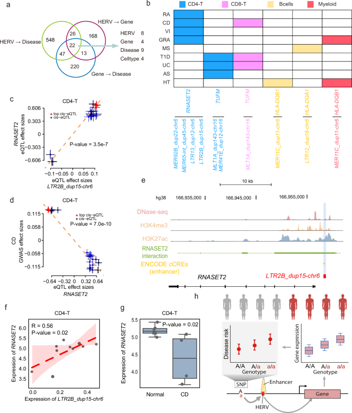 Fig. 6: Pleiotropic associations and regulation between HERVs and the expression of disease-associated genes.