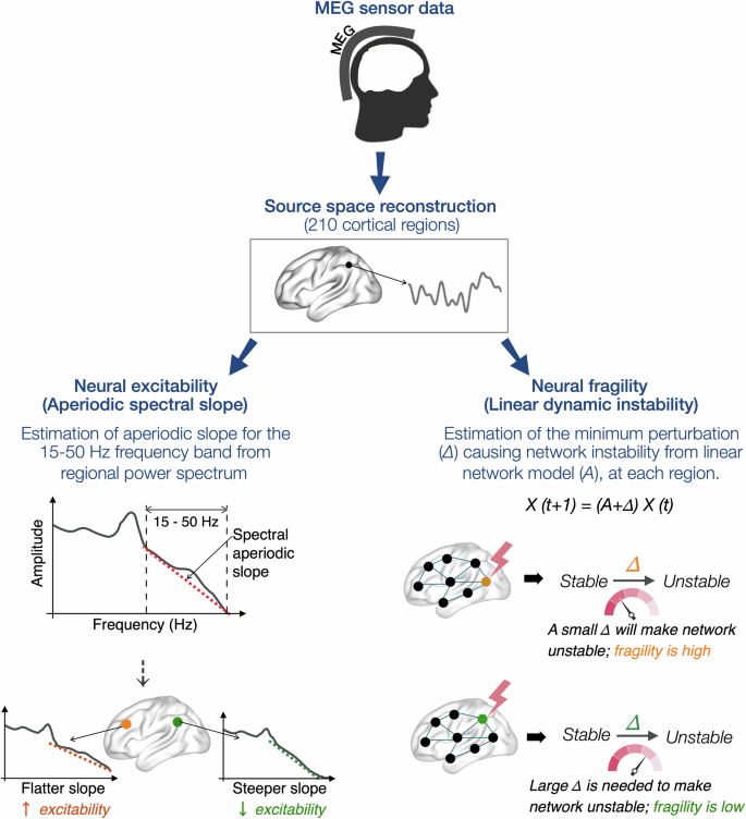 Fig. 1: Estimations of neural excitability and neural fragility.