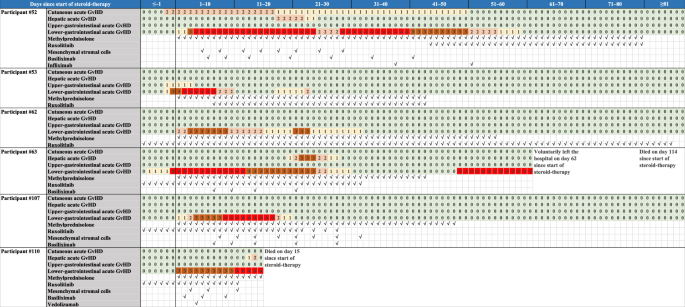 Fig. 6: Clinical course of severe acute GvHD in the AI focus group.