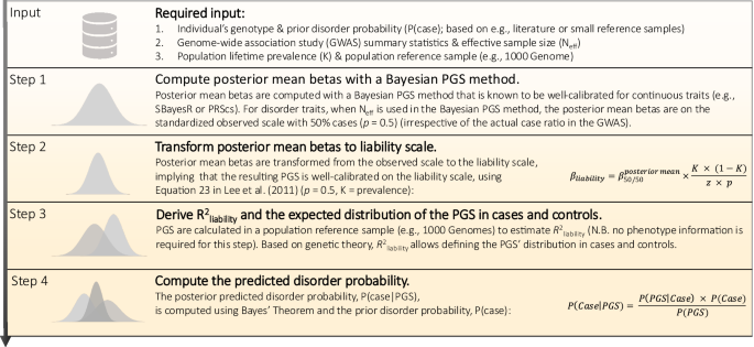 Fig. 1: Overview of the Bayesian polygenic score Probability Conversion (BPC) approach.