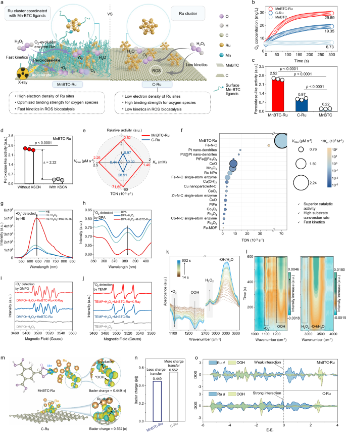 Fig. 3: Evaluation of enzyme-mimetic ROS-biocatalytic activities.