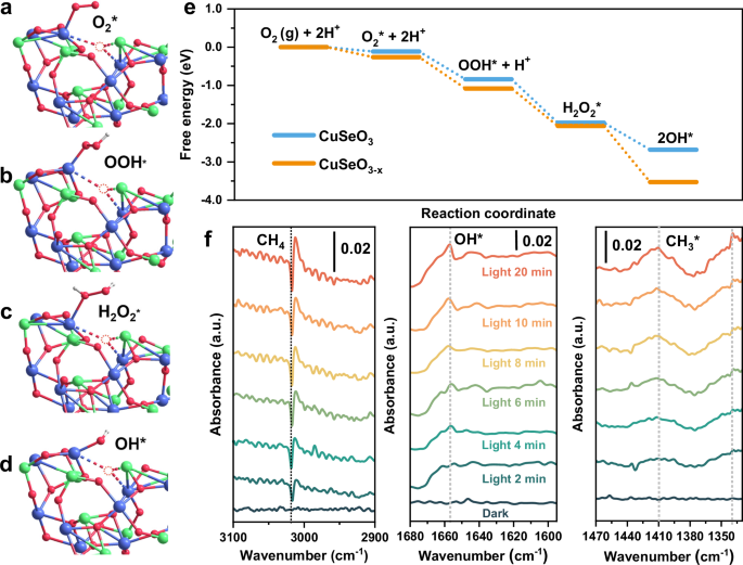 Fig. 5: Evaluation of reaction pathway.