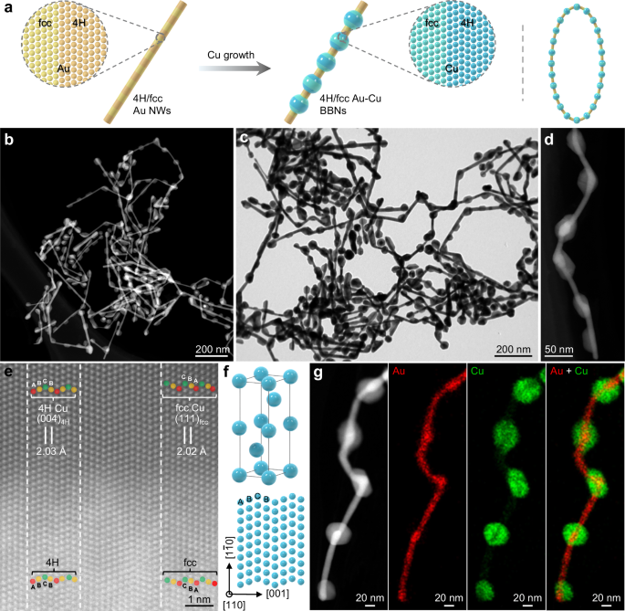 Fig. 1: Synthesis and structural characterization of 4H/fcc Au–Cu BBNs.