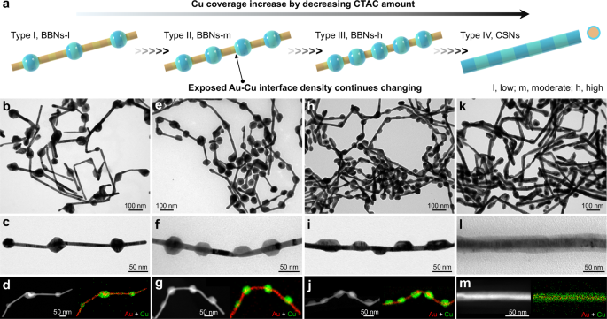Fig. 2: Continuous tuning of Cu coverage in 4H/fcc Au–Cu heteronanostructures.