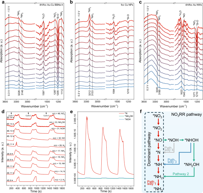 Fig. 5: In situ study of NO3RR mechanism.