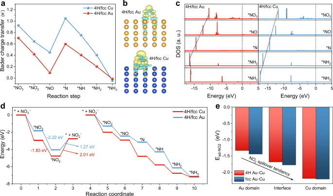 Fig. 6: Theoretical mechanism investigation of NO3RR.