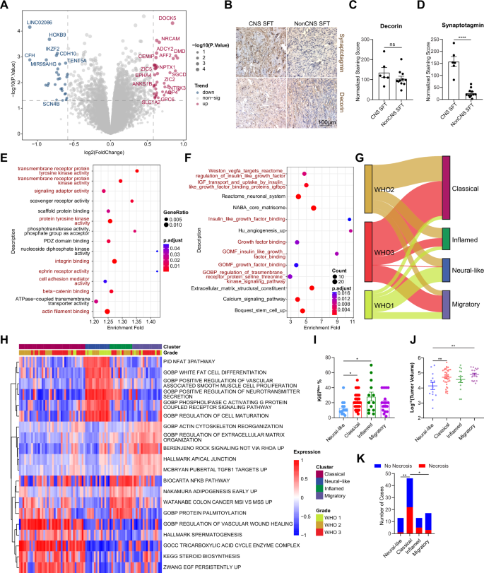 Fig. 2: Transcriptomic characterization and molecular subtypes of CNS SFTs.