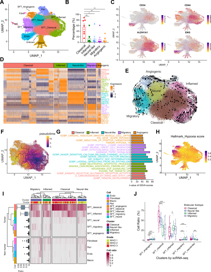Fig. 3: Cellular states of CNS SFTs by snRNA-seq.