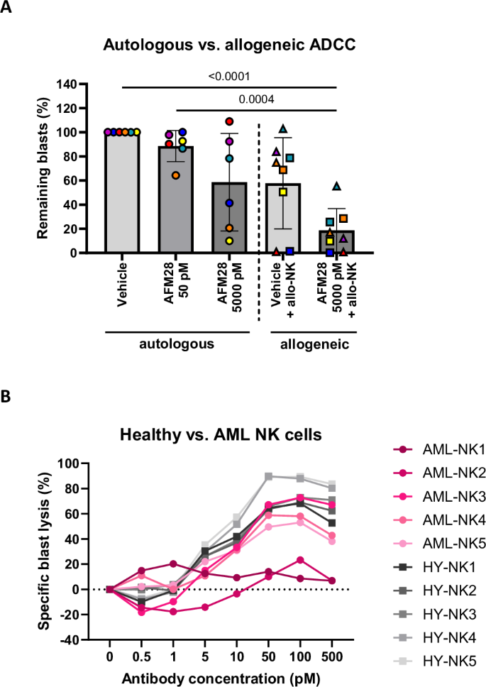 Fig. 4: AFM28 enables autologous and allogeneic ADCC of patient-derived NK cells against CD123+ blasts in primary AML samples.